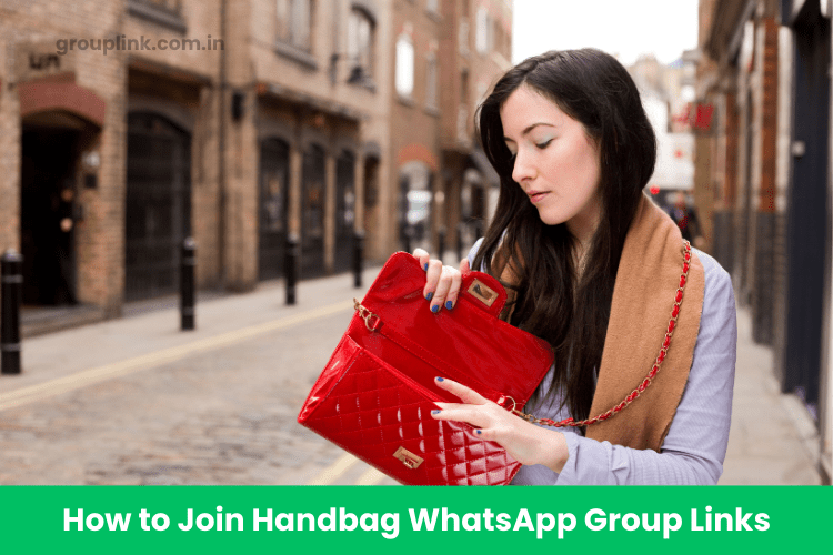 Handbag WhatsApp Group Links 