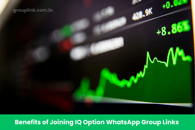 IQ Option WhatsApp Group Links