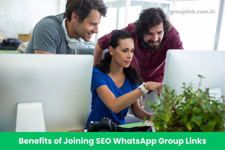 SEO WhatsApp Group Links