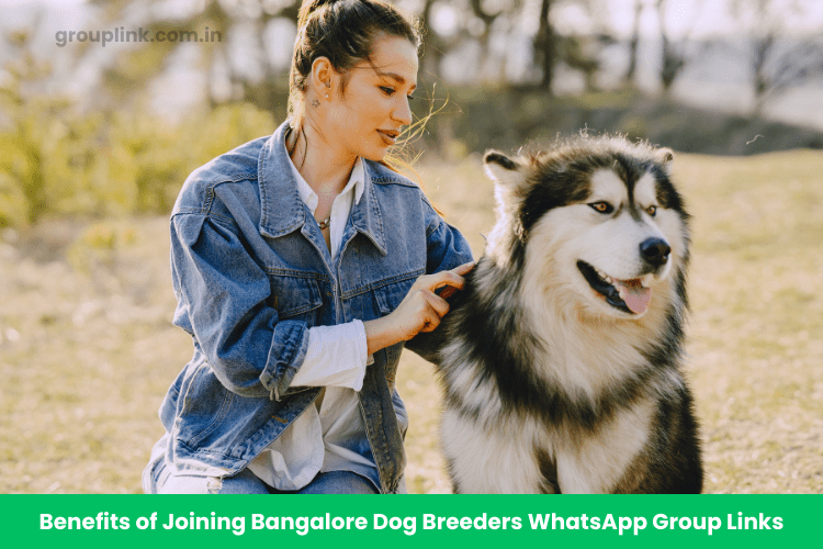 Bangalore Dog Breeders WhatsApp Group Links Bangalore Dog Breeders WhatsApp Group Links