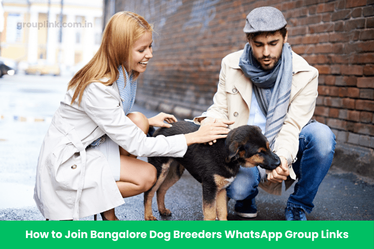 Bangalore Dog Breeders WhatsApp Group Links Bangalore Dog Breeders WhatsApp Group Links
