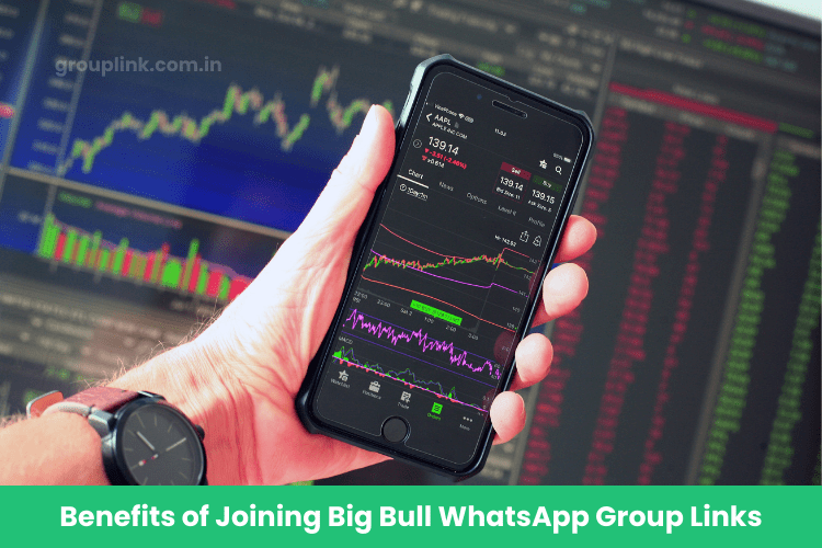 Big Bull WhatsApp Group Links Big Bull WhatsApp Group Links