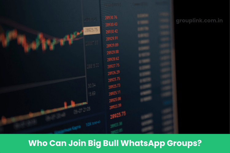 Big Bull WhatsApp Group Links Big Bull WhatsApp Group Links