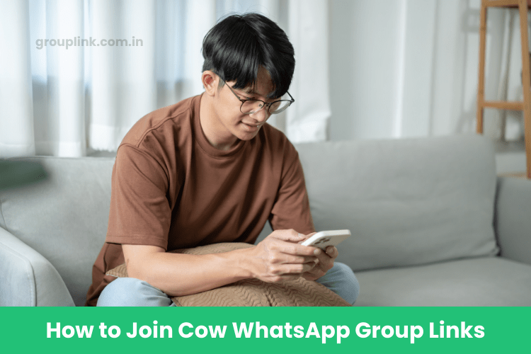Cow WhatsApp Group Links