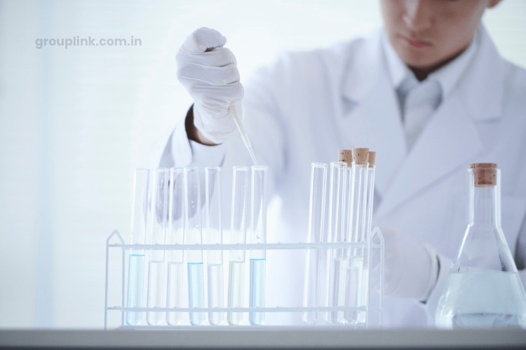 DMLT WhatsApp Group Links