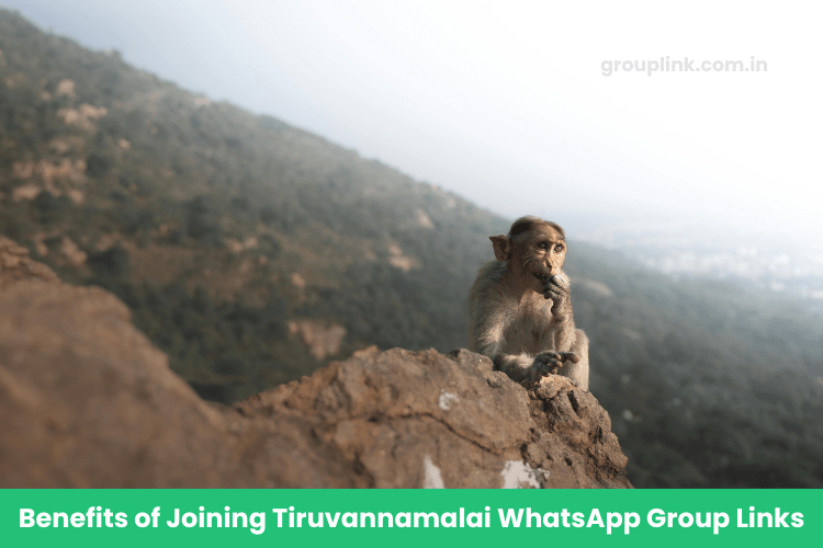 Tiruvannamalai WhatsApp Group Links