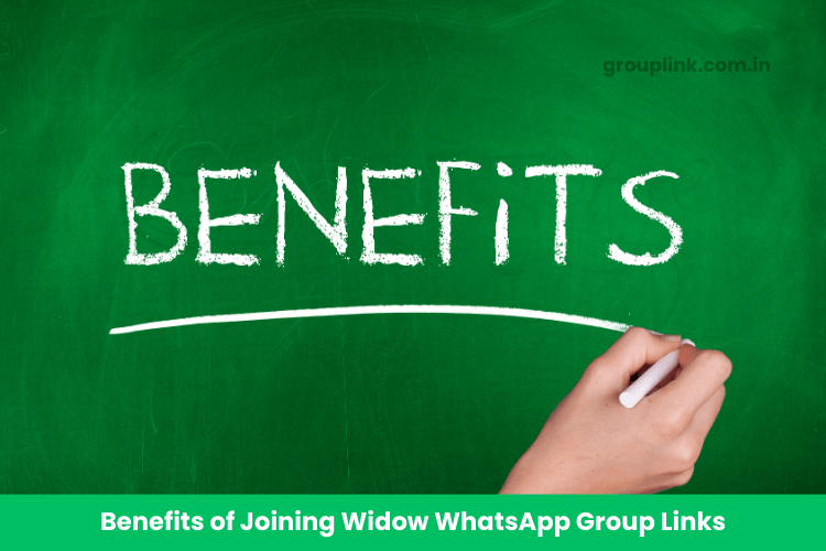 Widow WhatsApp Group Links