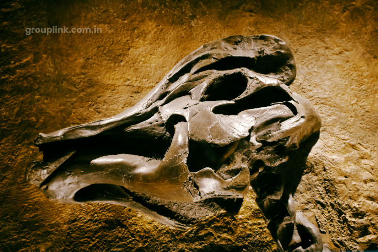 Anthropology Telegram Group Links