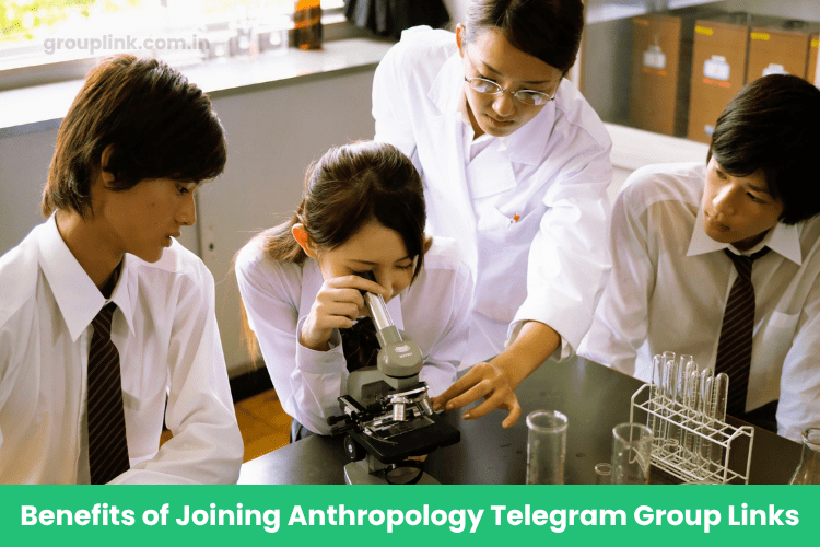 Anthropology Telegram Group Links