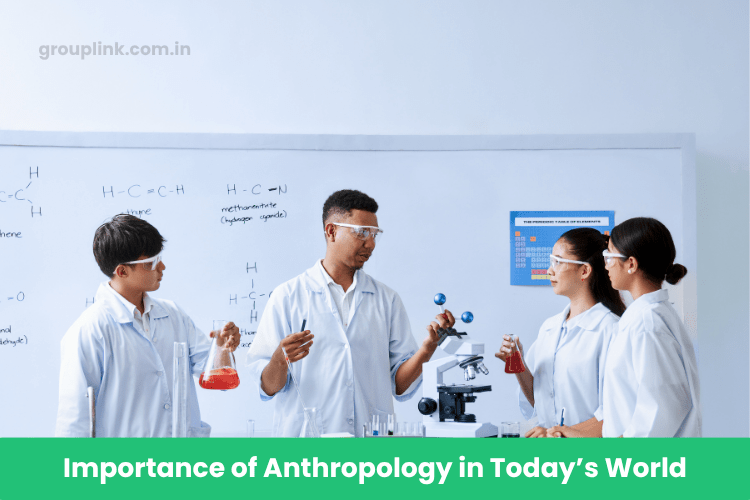 Anthropology Telegram Group Links